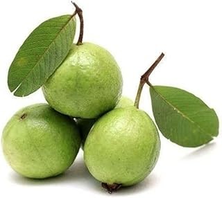 Guava