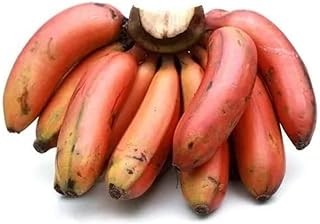 Red Banana
